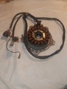 POLARIS-PULSER COIL-3089254