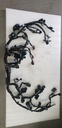 HONDA-WIRE HARNESS - 32100-MKK-A00 honda-32100-MKK-A00