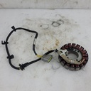BRP (Can-am / Ski-doo)-stator-420685297