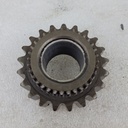 ARCTIC CAT-Sprocket/gear 21t-2602-402