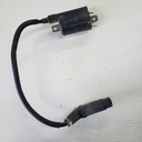 BRP (Can-am / Ski-doo)-Ignition Coil-420265414