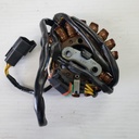 BRP (Can-am / Ski-doo)-Stator Plate-420296323