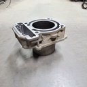 BRP (Can-am / Ski-doo)-cylinder ass'y-420613888