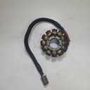 BRP (Can-am / Ski-doo)-stator plate-420665435