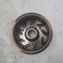 BRP (Can-am / Ski-doo)-Flywheel-420665447