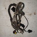 BRP (Can-am / Ski-doo)-BOMBARDIER Engine Wiring Harness Ass - 420665591-420665591