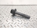 BRP (Can-am / Ski-doo)-stick coil-420665810