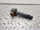 BRP (Can-am / Ski-doo)-stick coil-420666142