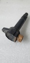 BRP (Can-am / Ski-doo)-stick coil-420666142