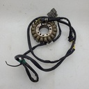 BRP (Can-am / Ski-doo)-stator plate, 420w without dps-420685920