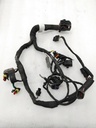 BRP (Can-am / Ski-doo)-Engine Harness-420864440