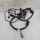 BRP (Can-am / Ski-doo)-engine wiring harness-420666610