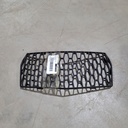 BRP (Can-am / Ski-doo)-BOTTOM PAN GRILL-502006887