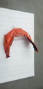 BRP (Can-am / Ski-doo)-orange race bottom pan cap model-gray-orange-502007408