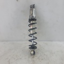 BRP (Can-am / Ski-doo)-central shock package-backcountry-503193207