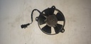 BRP (Can-am / Ski-doo)-fan-509000837