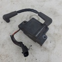 BRP (Can-am / Ski-doo)-Ignition Coil-512060810
