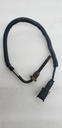 [515176490] Temperature Sensor