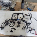 BRP (Can-am / Ski-doo)-Main Harness 800R ETEC-515177542