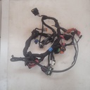 BRP (Can-am / Ski-doo)-Main Harness-515177993