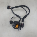 BRP (Can-am / Ski-doo)-lh switch housing-515178197