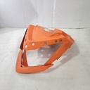 BRP (Can-am / Ski-doo)-Indicator Support-517305708