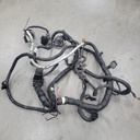 harness, main (inc. 11-19)