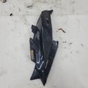 BRP (Can-am / Ski-doo)-deep black, lh hood-517307300