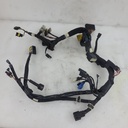 POLARIS-main harness, sdi-2411667