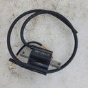 Ignition Coil Assembly