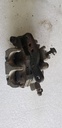 SUZUKI-CALIPER ASSY, FRONT RH - 59100-09F10 suzuki-59100-09F10