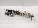 POLARIS-SHOCK RT-7043629