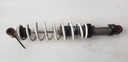 POLARIS-SHOCK-IFS IFP - POLARIS - 7043725-7043725