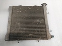 BRP (Can-am / Ski-doo)-RADIATOR ASS'Y-709200109