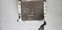 BRP (Can-am / Ski-doo)-BOMBARDIER Radiator - 709200411-709200411