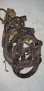 BRP (Can-am / Ski-doo)-Main Harness Ass'y-710002120