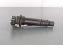 Ignition Coil Assy