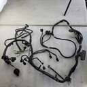 YAMAHA-Wire Harness Assy-8FG-82590-00-00