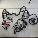 YAMAHA-Wire Harness Assy LTYR (8FT7)-8FP-82590-10-00