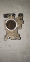 POLARIS-THROTTLE BODY ASSEMBLY-1204195