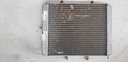 POLARIS-VGT RADIATOR ASSEMBLY, 324 X 36-1240521