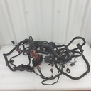 BRP (Can-am / Ski-doo)-wiring harness_chassis-710001652