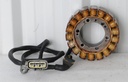 BRP (Can-am / Ski-doo)-stator plate-420685335