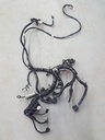 ARCTIC CAT Harness, Main - 1686-680