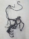 ARCTIC CAT-ARCTIC CAT Harness, Main - 1686-680-1686-680