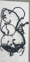 Harness, Main (inc. 11-19)