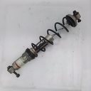 BRP (Can-am / Ski-doo)-front shock hpg-505073236