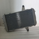 BRP (Can-am / Ski-doo)-RADIATOR DS450-709200152