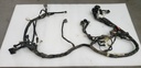 YAMAHA-Wire Harness Assy - 1PE-82590-00-00 yamaha-1PE-82590-00-00