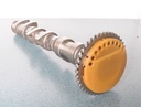 BRP (Can-am / Ski-doo)-camshaft exhaust-420820210